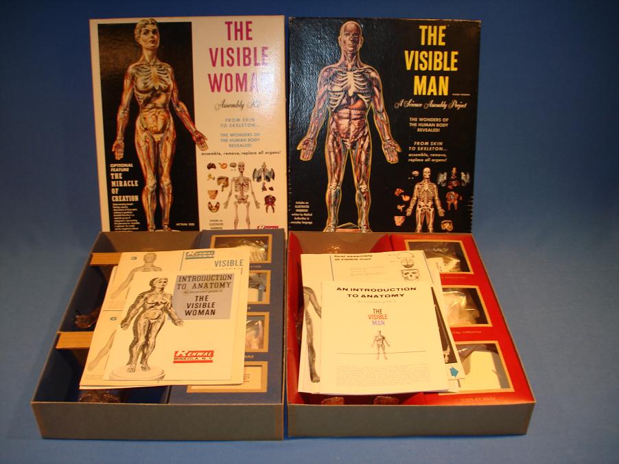 Renwal Visible Man Plastic Model Kit