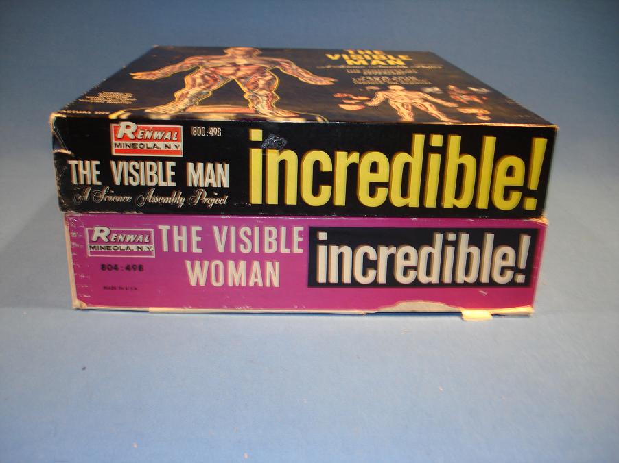 Renwal Visible Man Plastic Model Kit Box End Panel