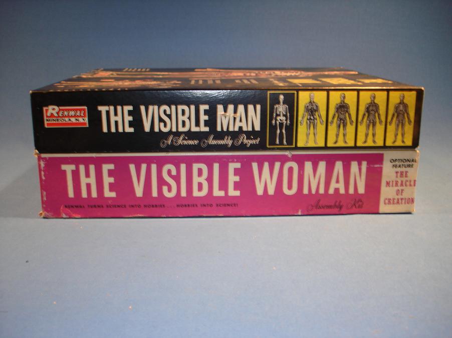 Renwal Visible Man Plastic Model Kit Box Side Panel